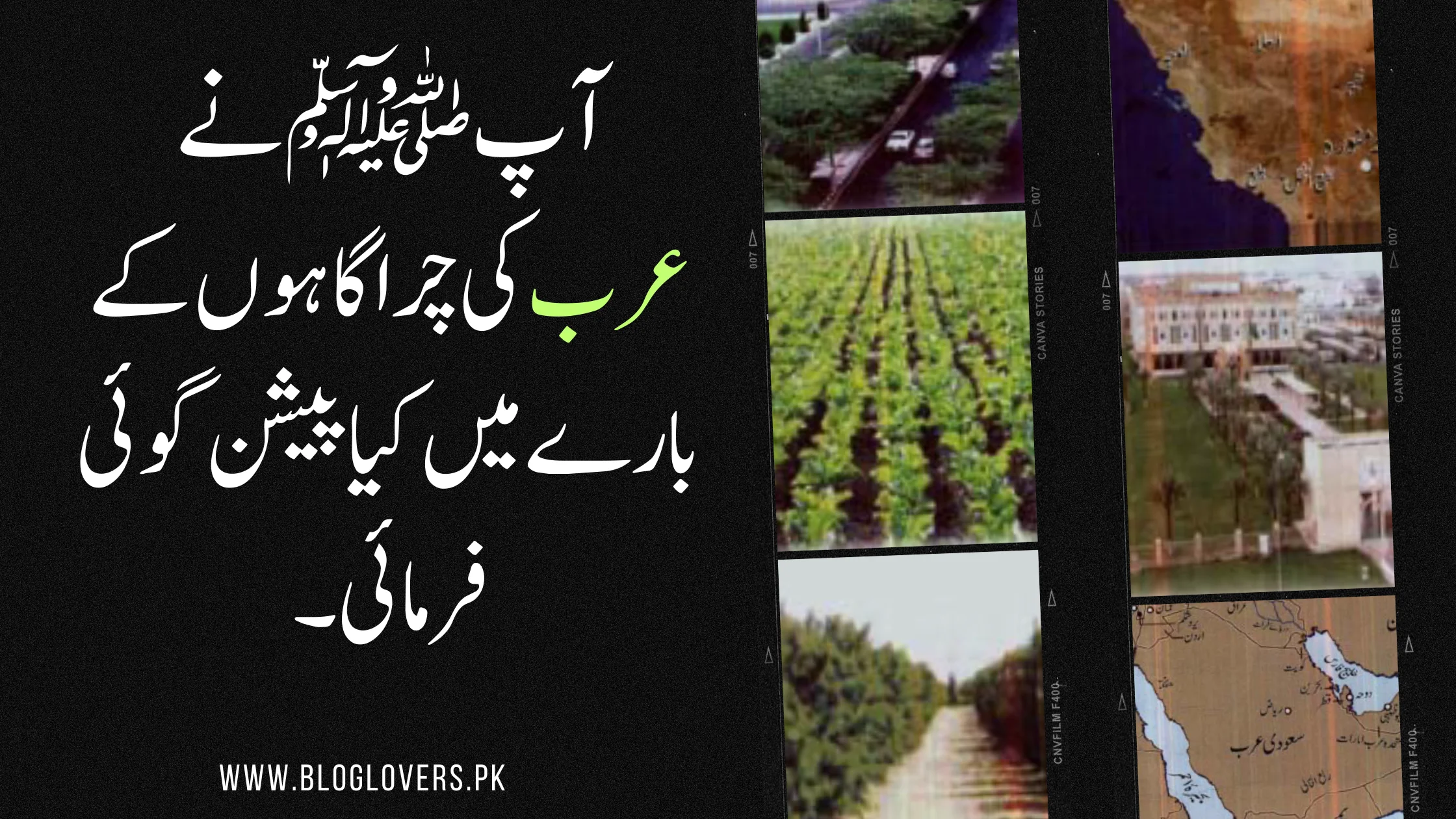 عرب کی چراگاہوں کے بارے میں پیشین گوئی
