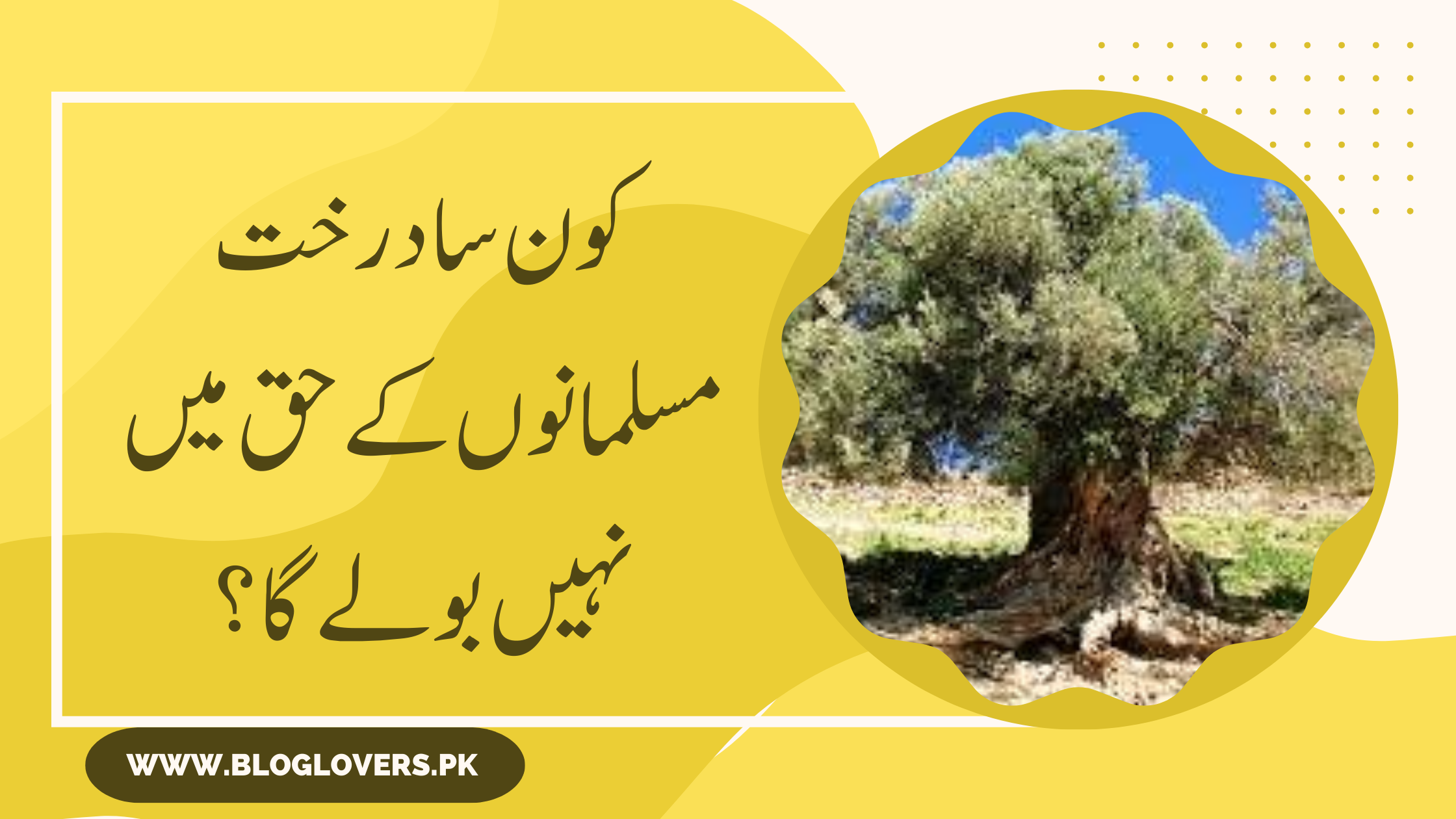 کون سا درخت مسلمانوں کے حق میں نہیں بولے گا؟