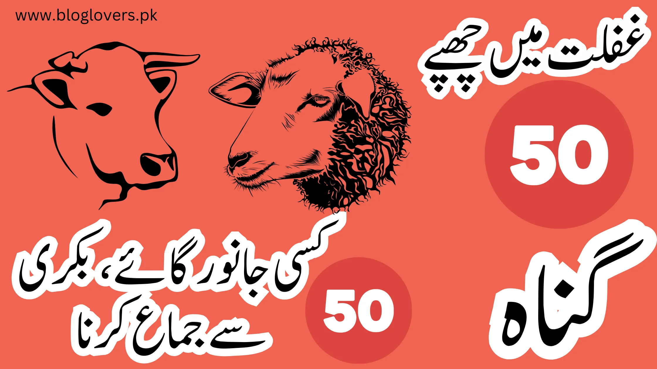 کسی جانور گائے، بکری سے جماع کرنا - غفلت میں چھپے 50 گناہ