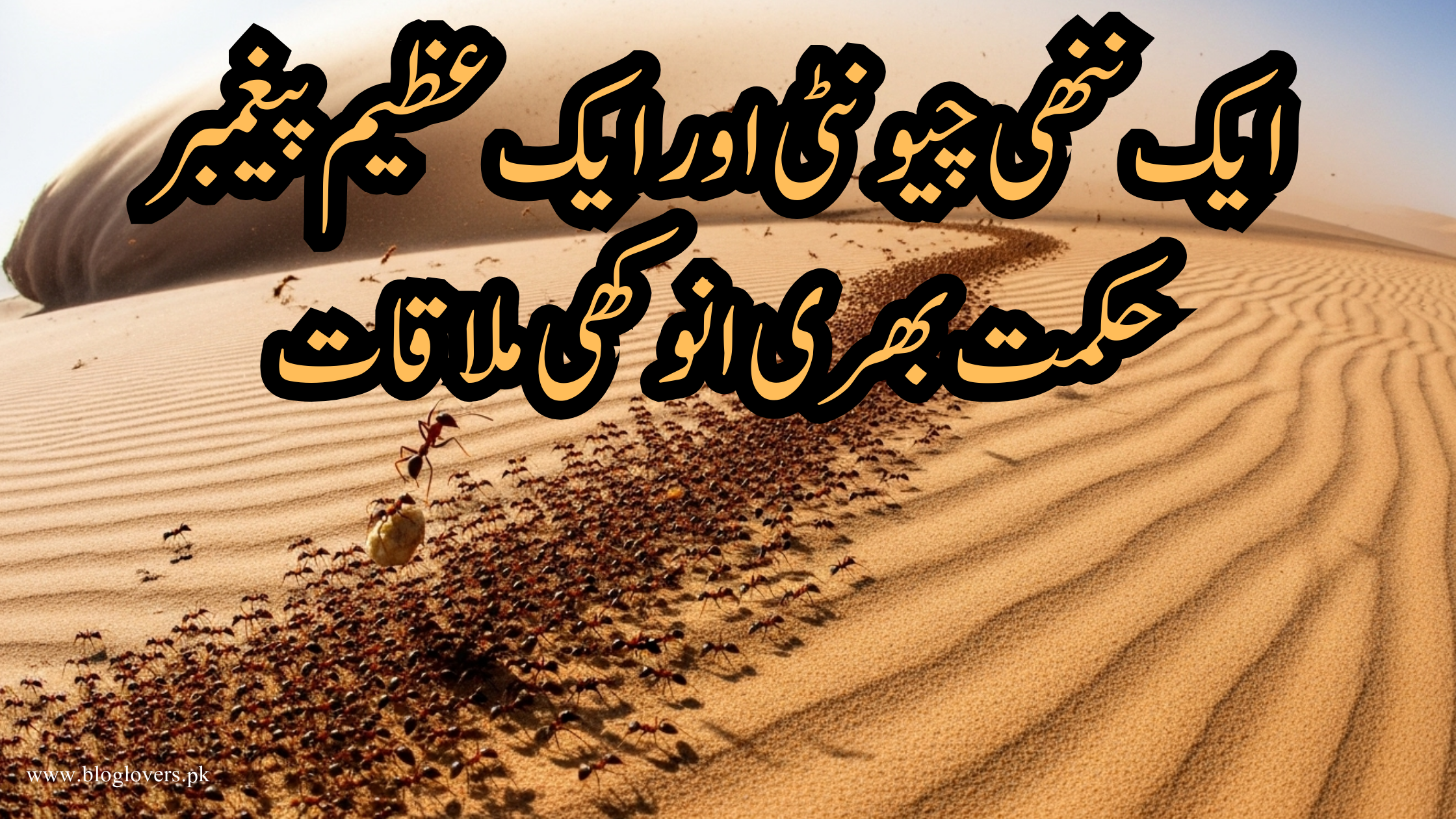 حضرت سلیمان اور چیونٹی کی کہانی