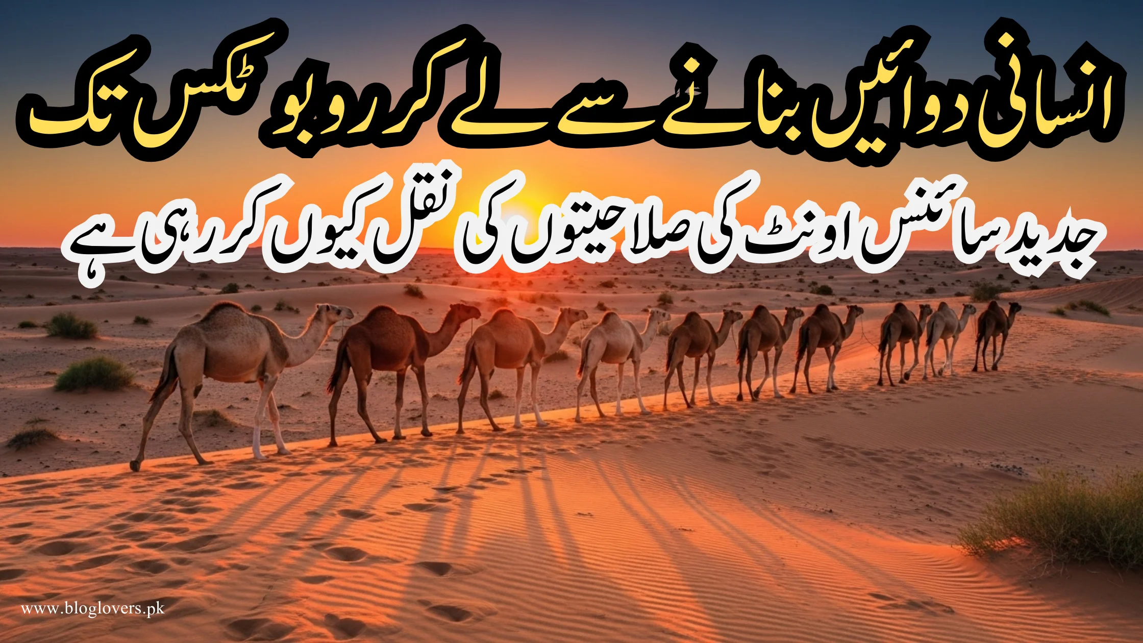 جدید سائنس اونٹ کی صلاحیتوں کی نقل